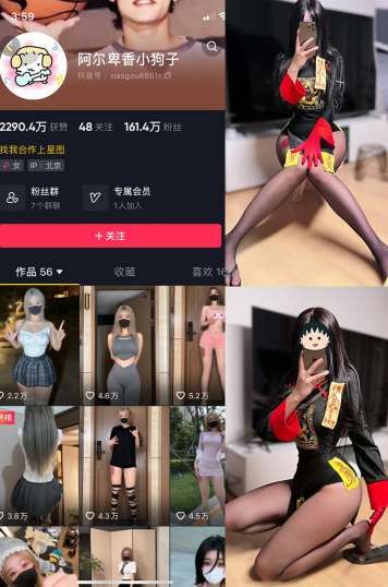 图片[1]-阿尔卑香小狗子 37套合集下载-[864P-21V-194.23MB]-十六楼